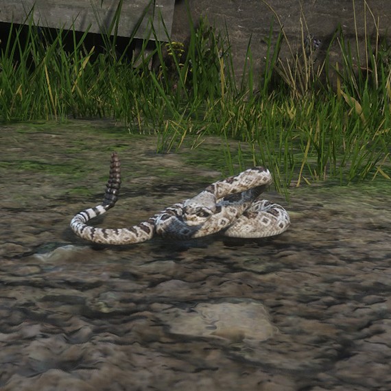 Serpent Générique