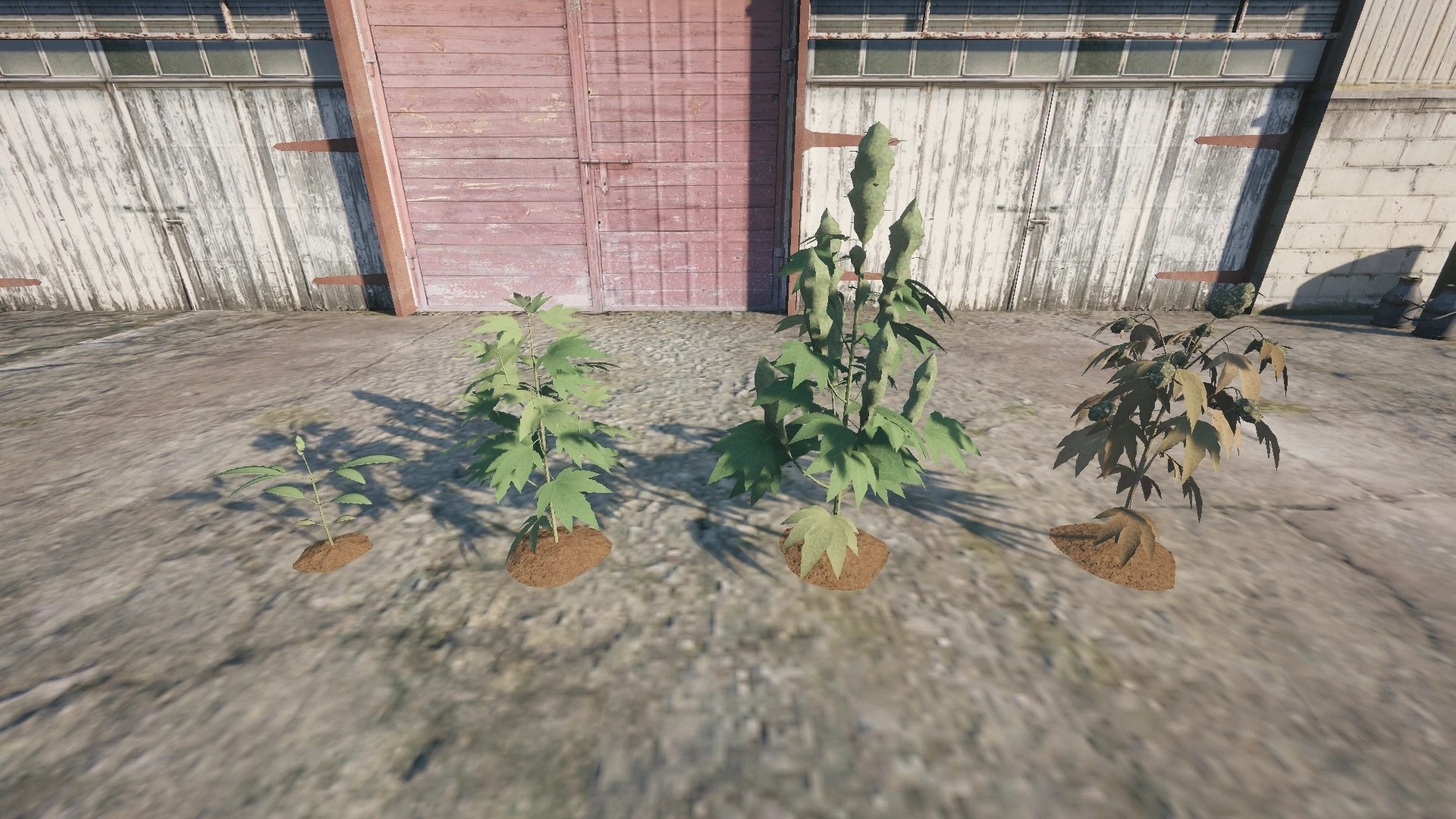 Farm Props: Street Crops - 7