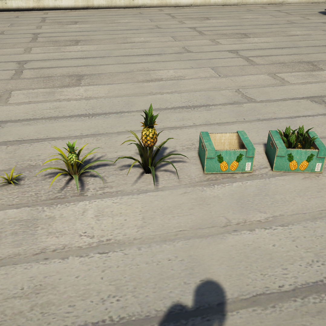 Pineapple