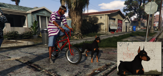 Dobermann