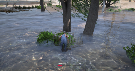 Mangrove (Crab Catch)