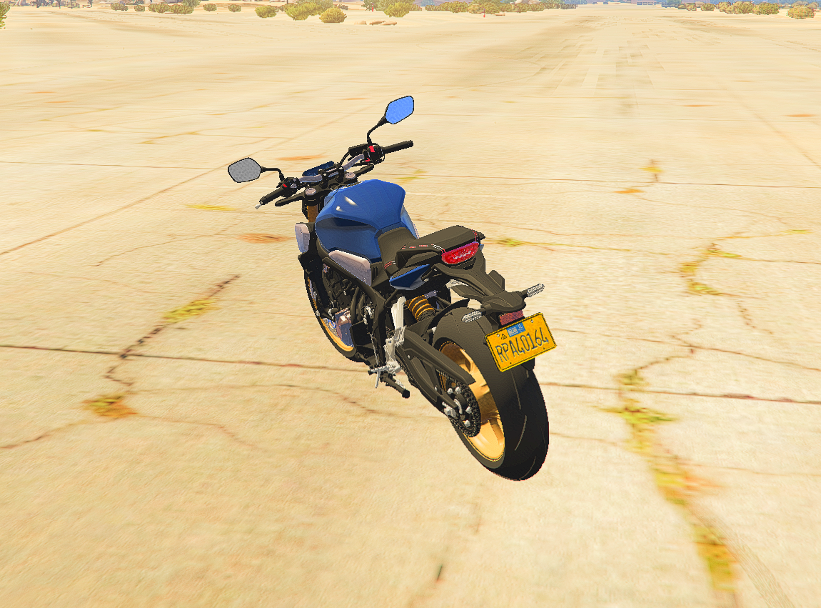 Custom Bike[3]
