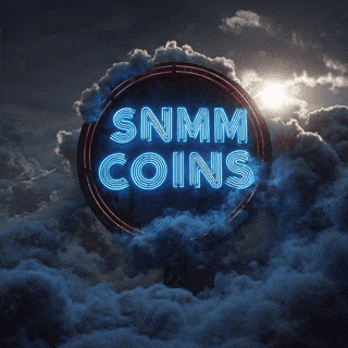 100 SNMM Coins