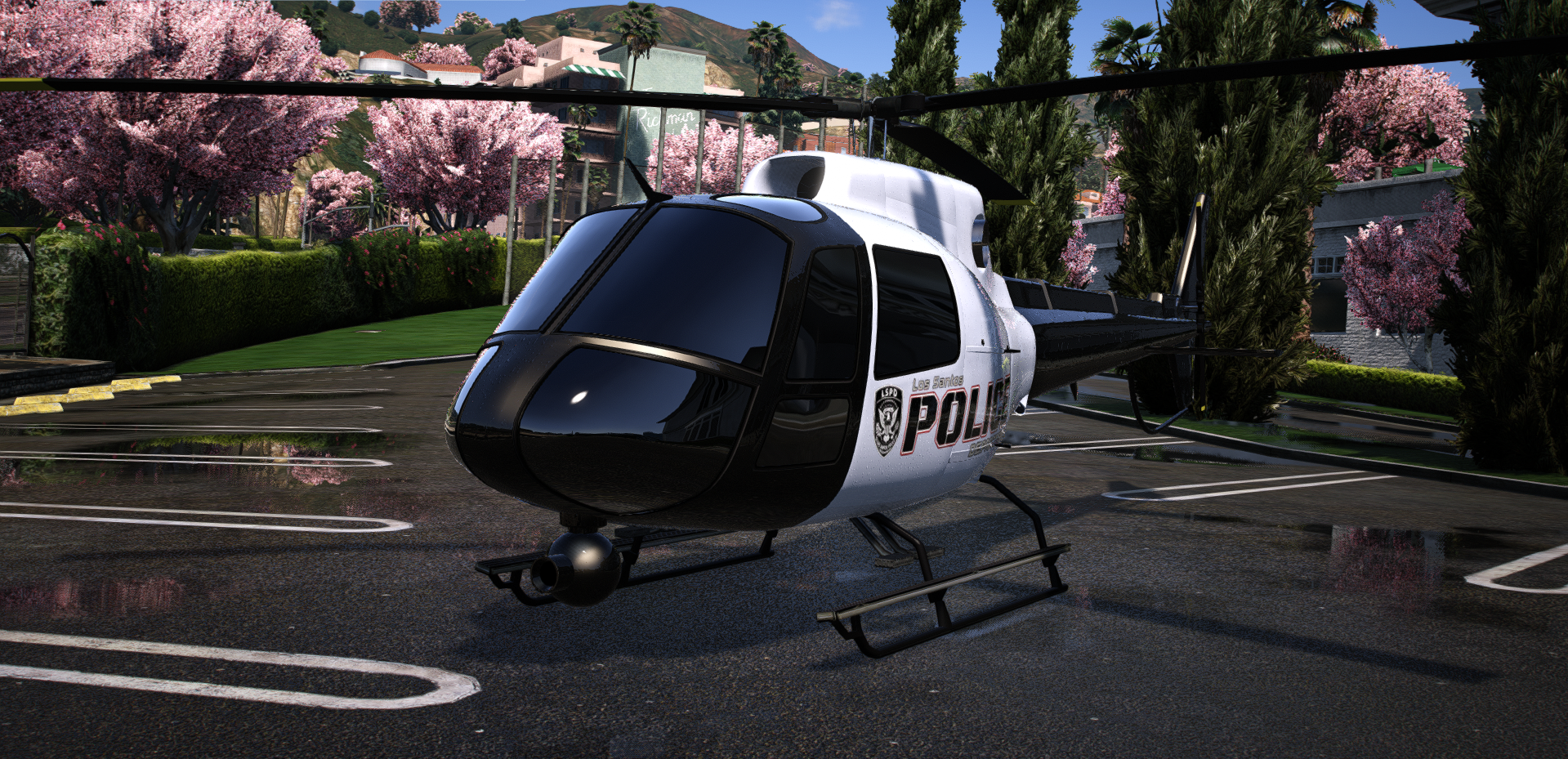 POLICE HELI (MAVERICK)