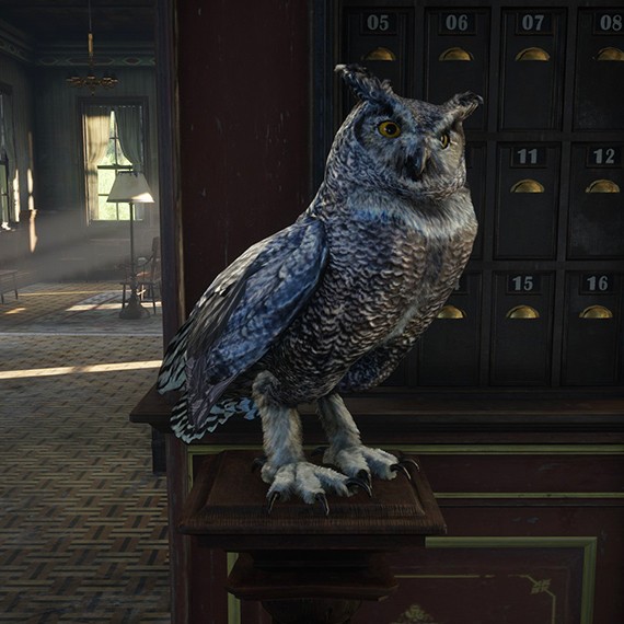 Hibou