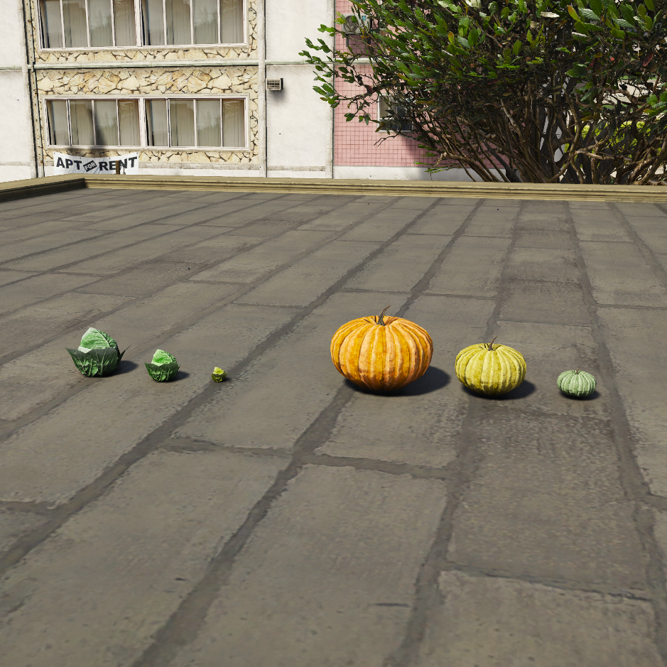 Salad and pumpkin 