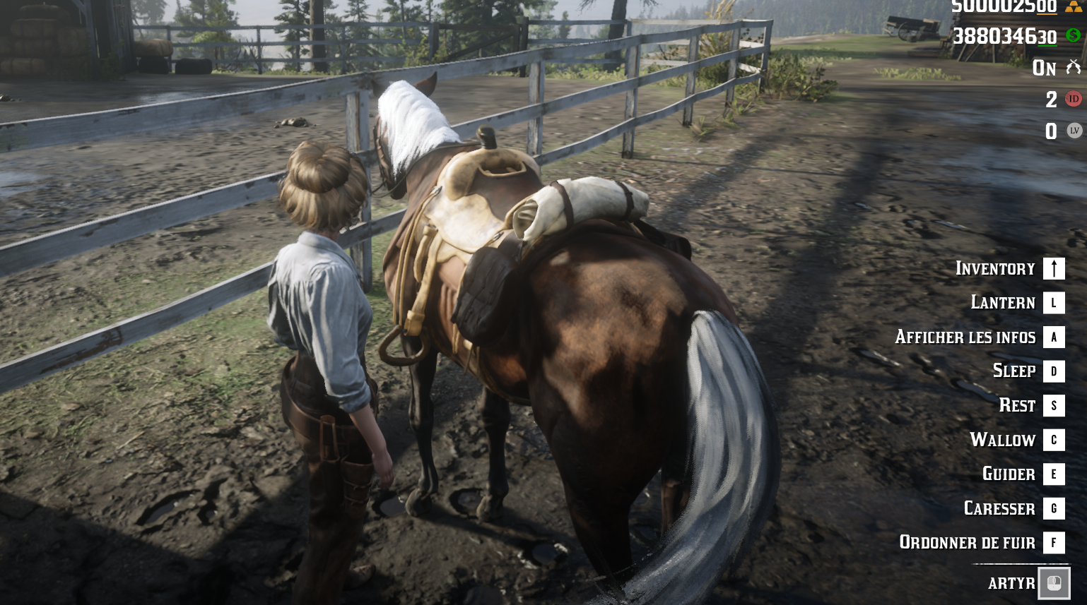 🐴 Stables