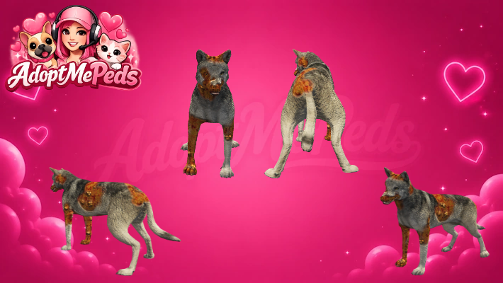 5 Infected Animals