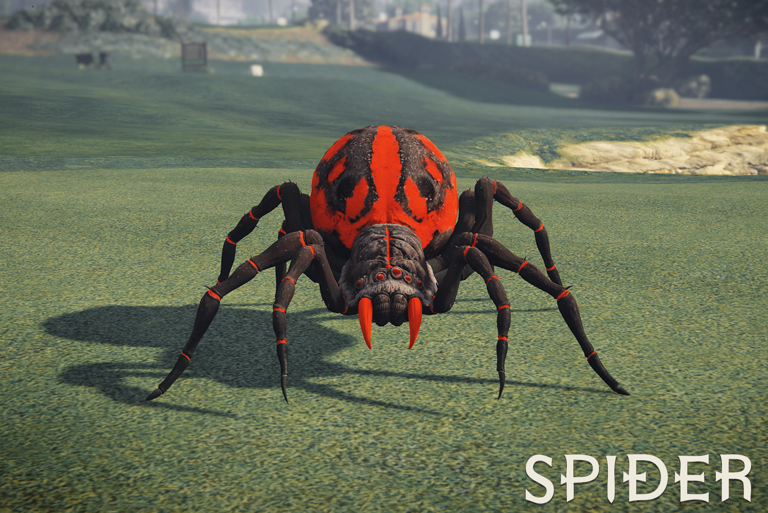 Spider - 4 Color Variations