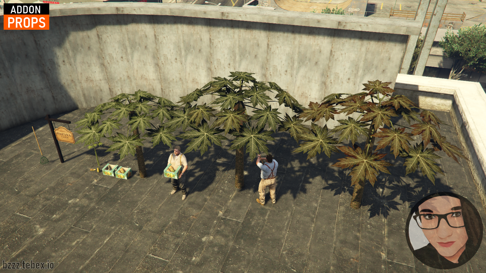 Papaya plant