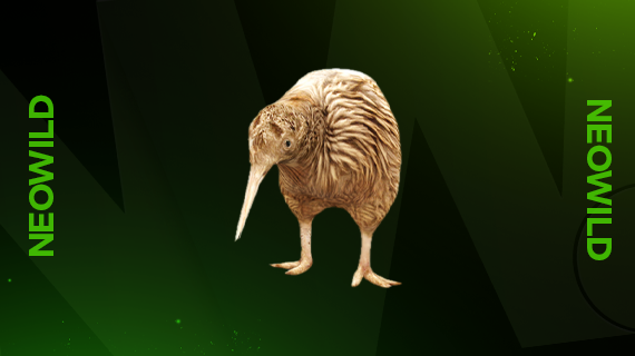 Kiwi