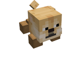 Doge