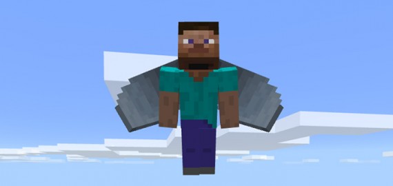 /fly