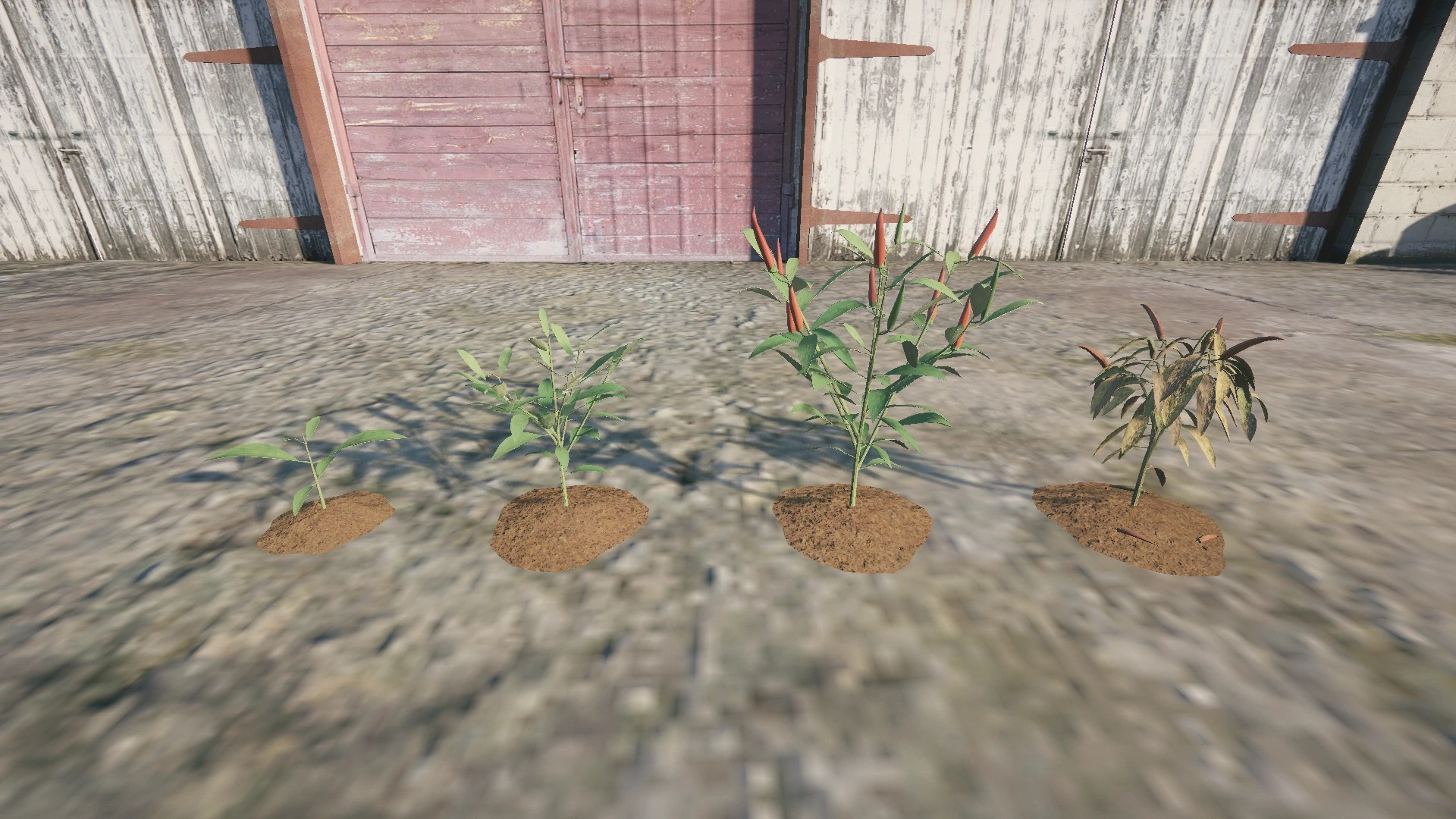 Farm Props: Garden Vegetables - 4