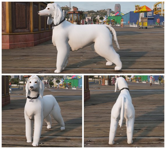 Dog 01