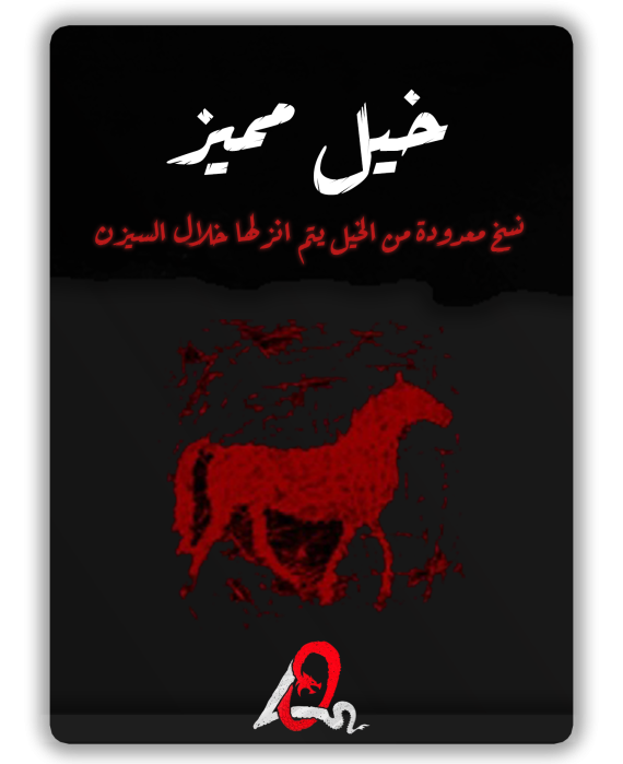 خيل مميز