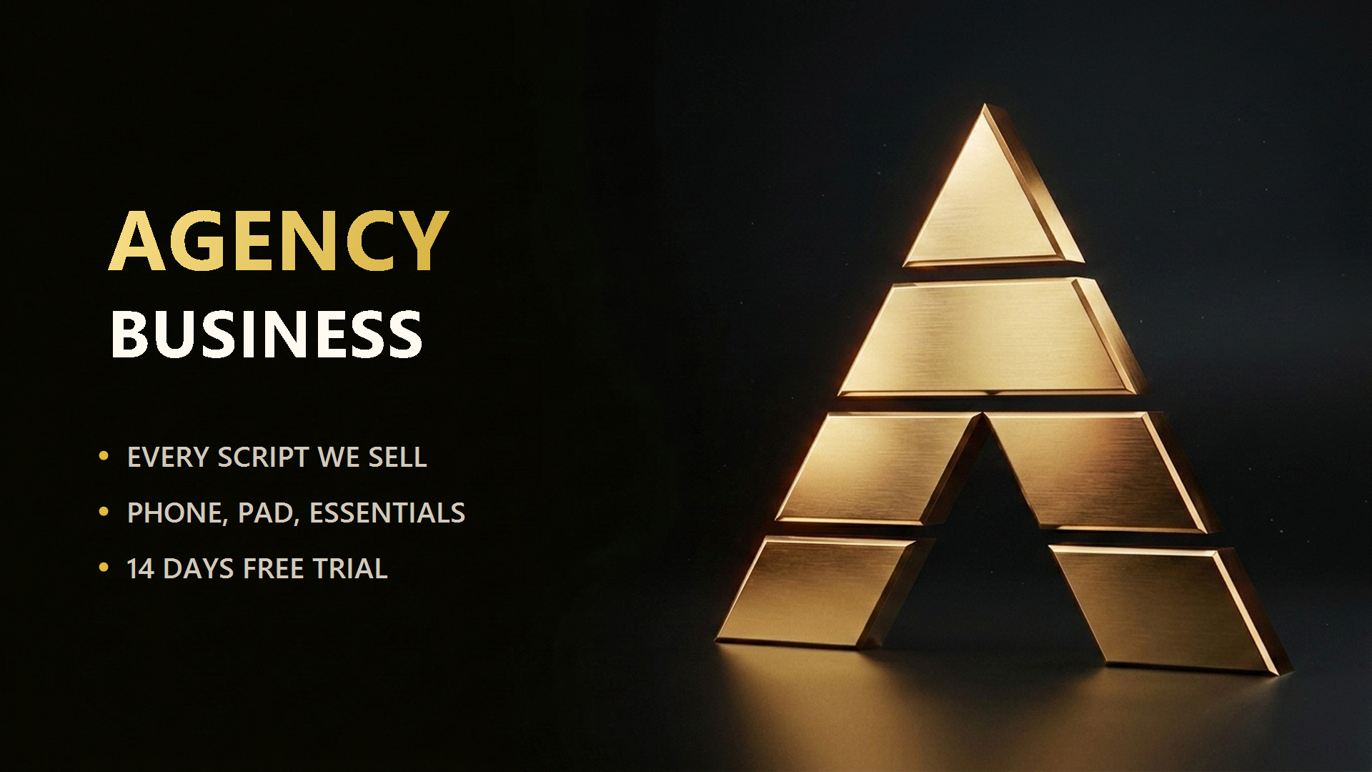 👑 1 Month Agency Business