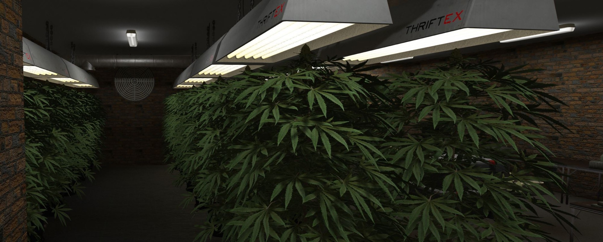 Drug Den (La Mesa)