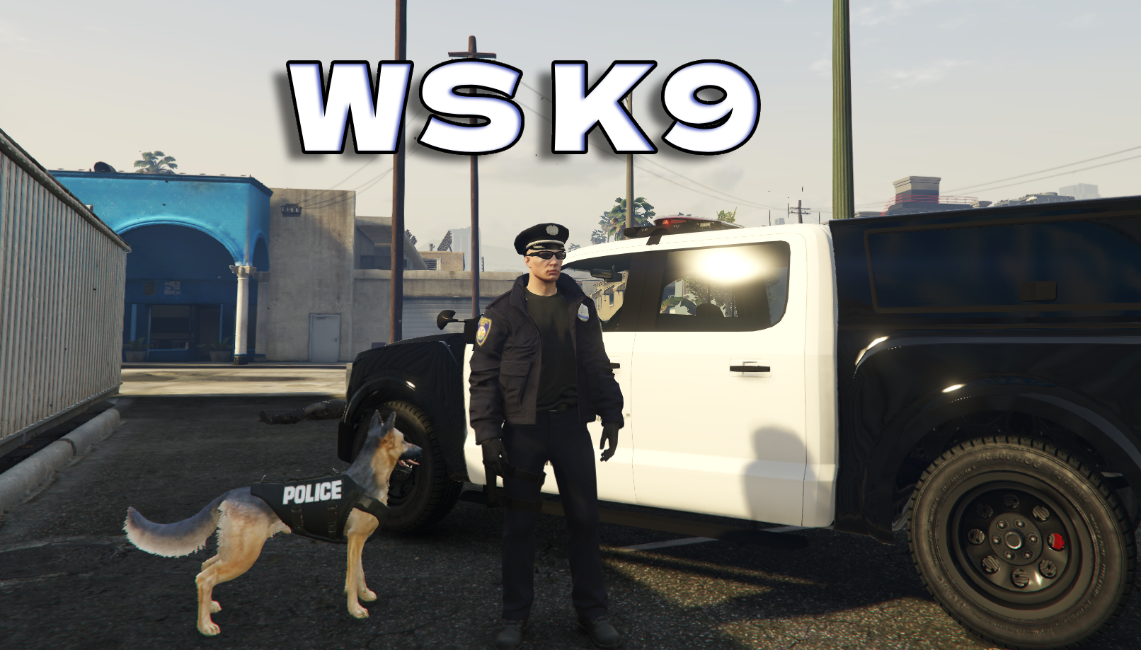 WS K9 | QBCORE ESX
