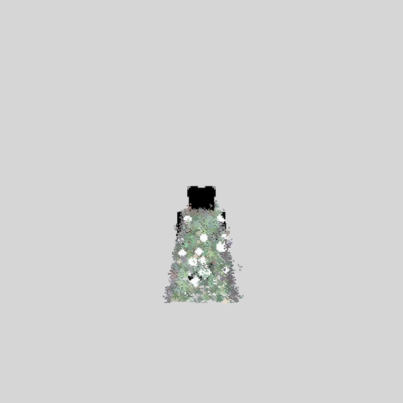 Lothlorien Cloak