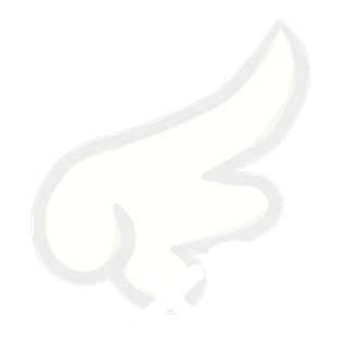Fly x30 Dias