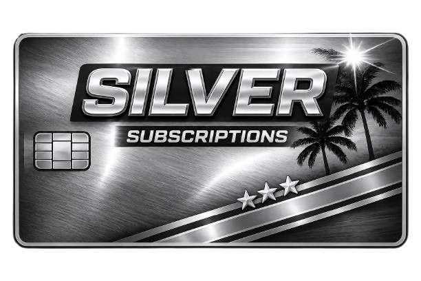 ViceLife Silver