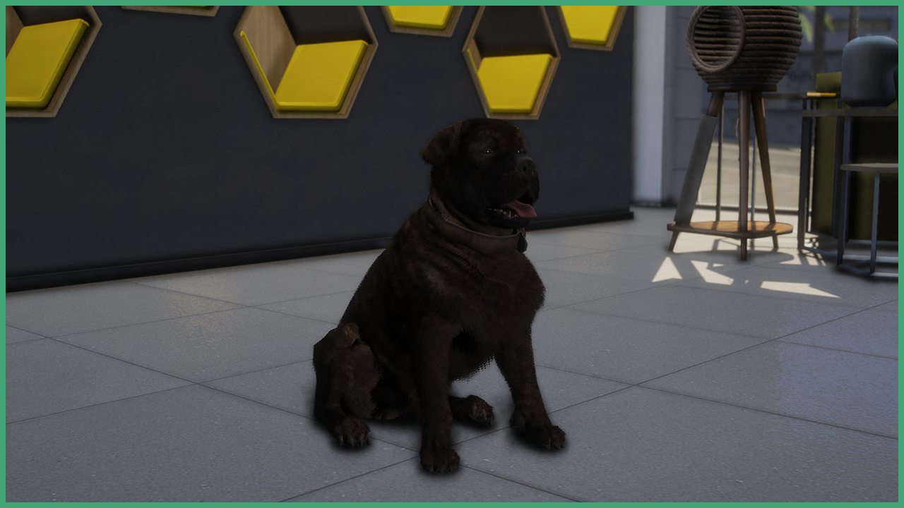 Mahogany Rottweiler