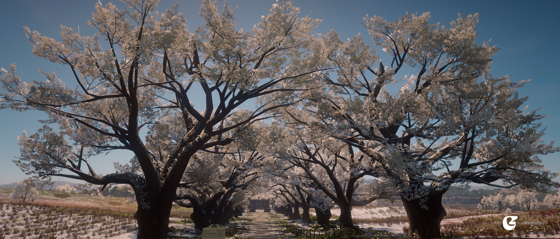 [ Tree Christmas ]