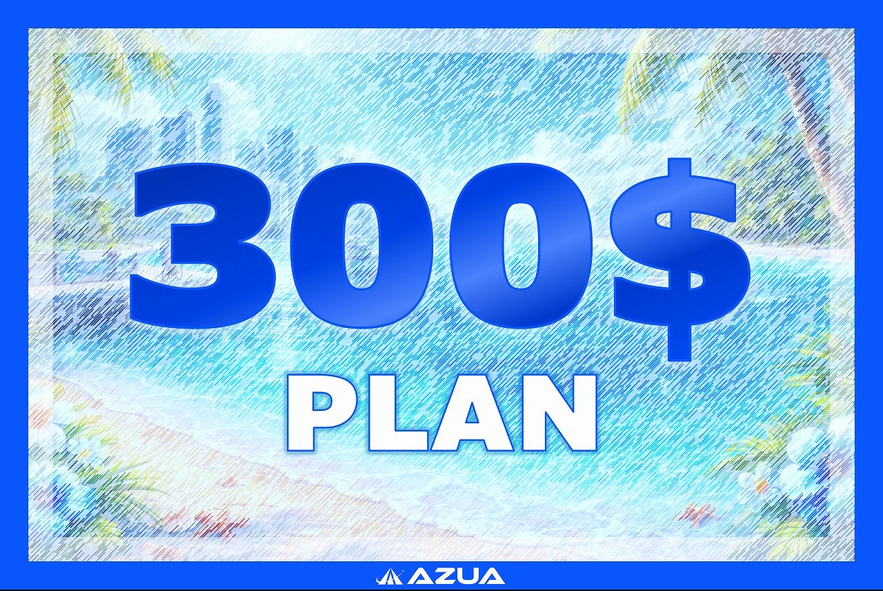 ３００＄プラン