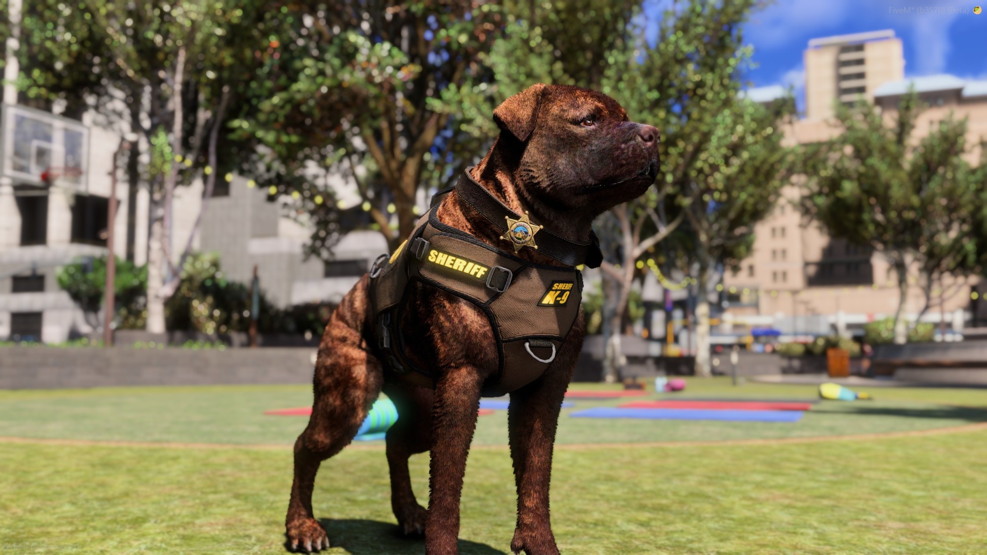 Rottweiler Police K9