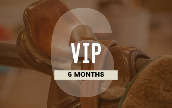 6-Month VIP Bundle