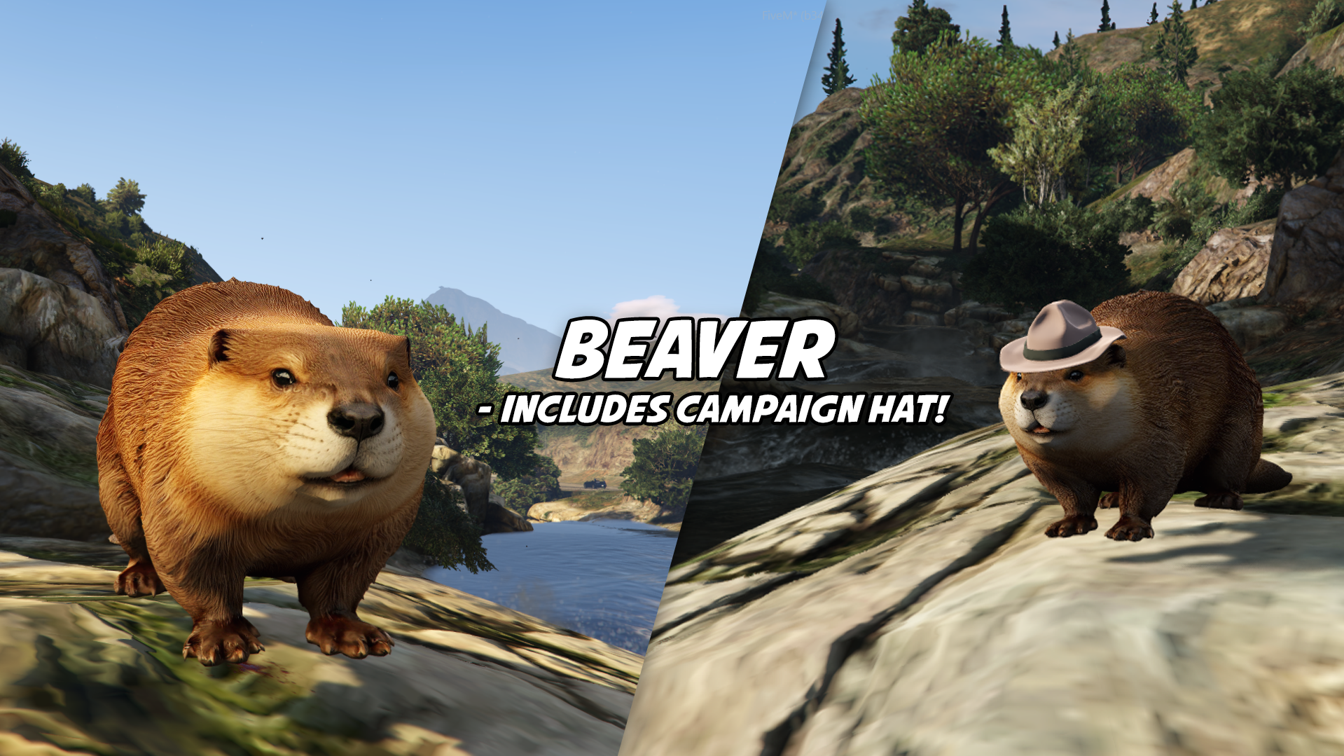 Beaver
