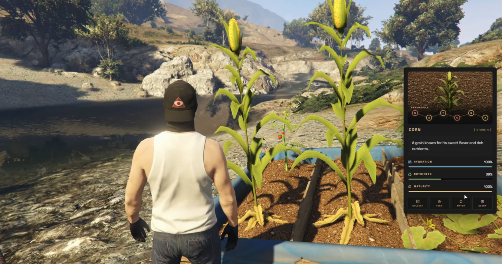 Farming System