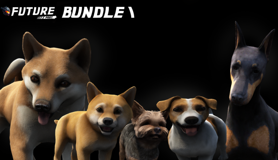 Bundle I
