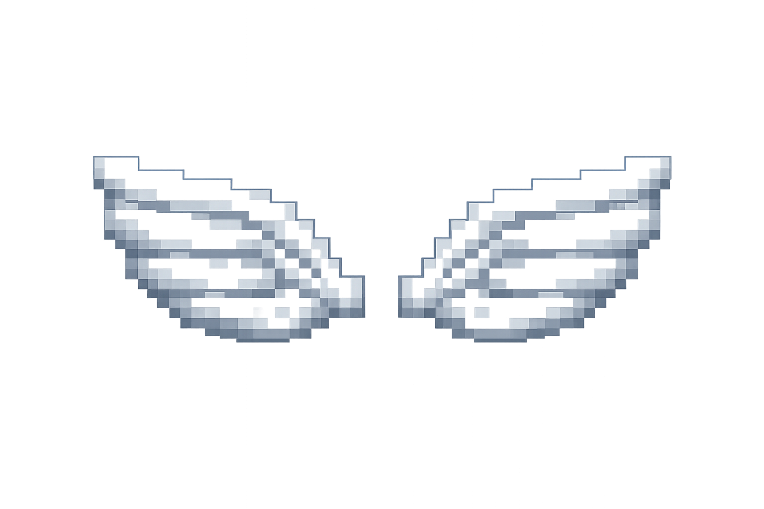 CMD FLY (1 MES)