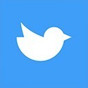 Certification Birdy
