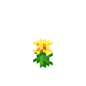 Iris to Blossom