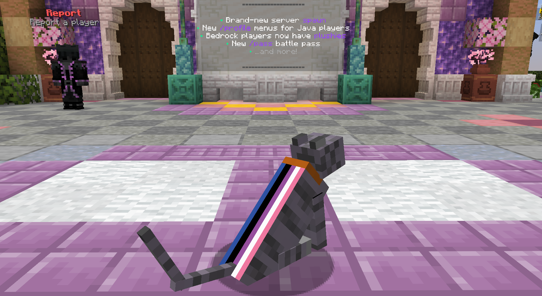 ๐ Genderfluid Pride Cape Cat โ cosmetic Cat Skins item on the NovaVoid Cat Civilization Minecraft server