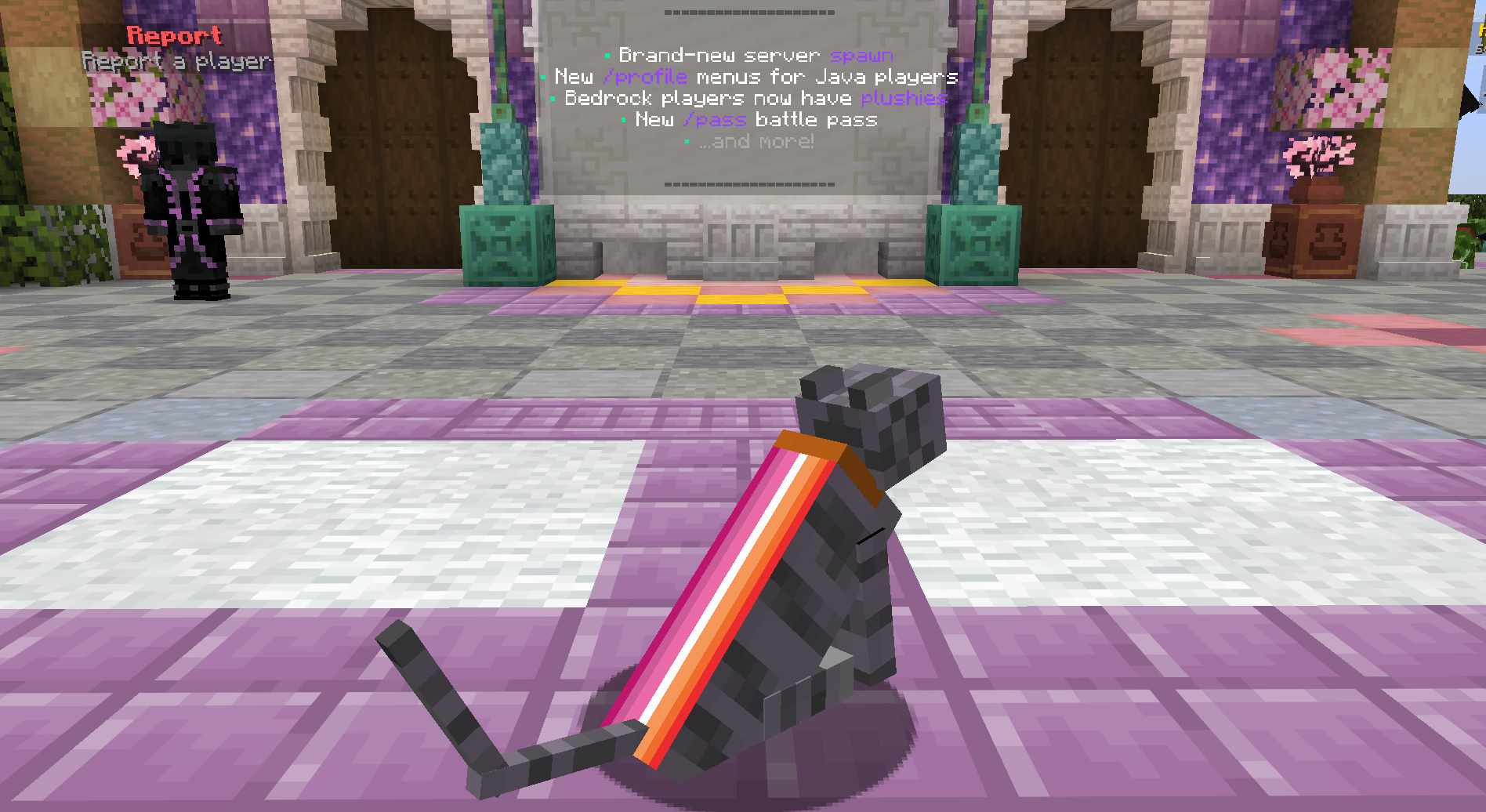 🧡 Lesbian Pride Cape Cat — cosmetic Cat Skins item on the NovaVoid Cat Civilization Minecraft server