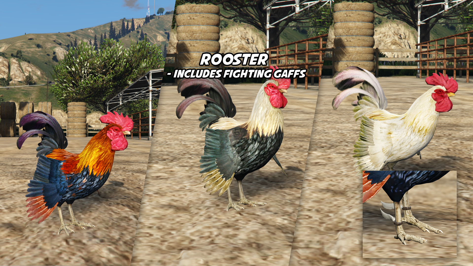 Rooster