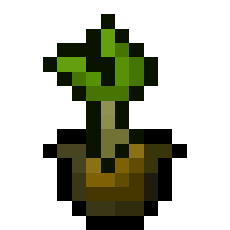 Banana Seed