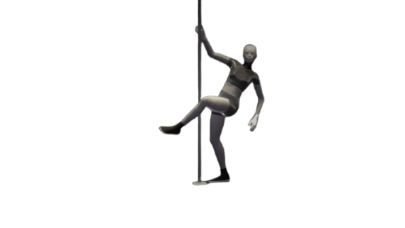 Stripper Pole