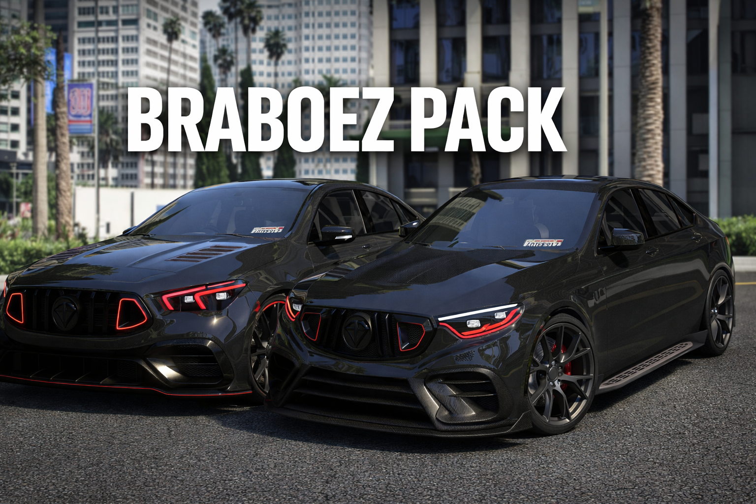 BRABOEZ PACK