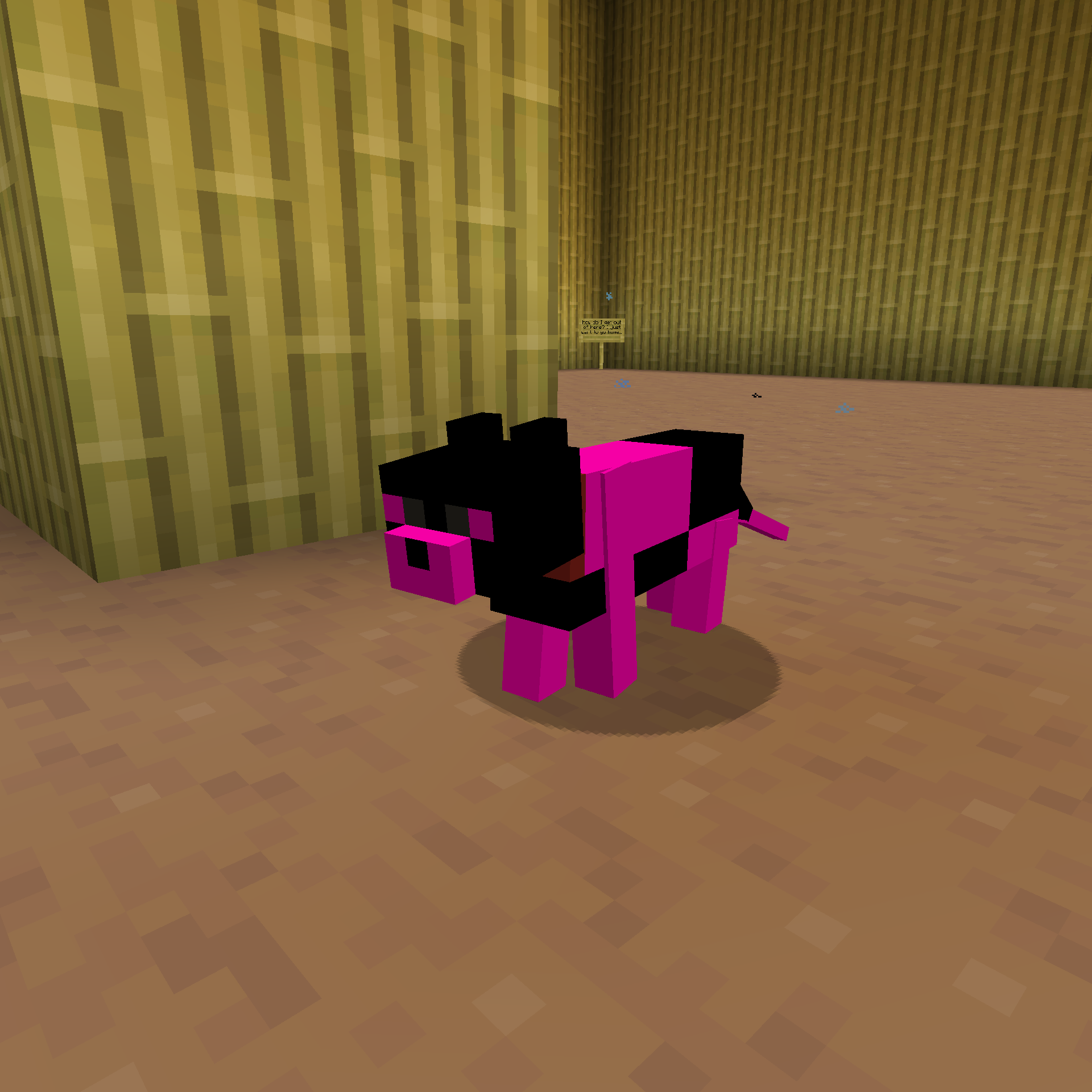 Missing Cat — cosmetic Cat Skins item on the NovaVoid Cat Civilization Minecraft server