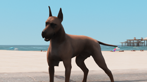 [DOG] Great Dane