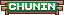 Chunin Rank