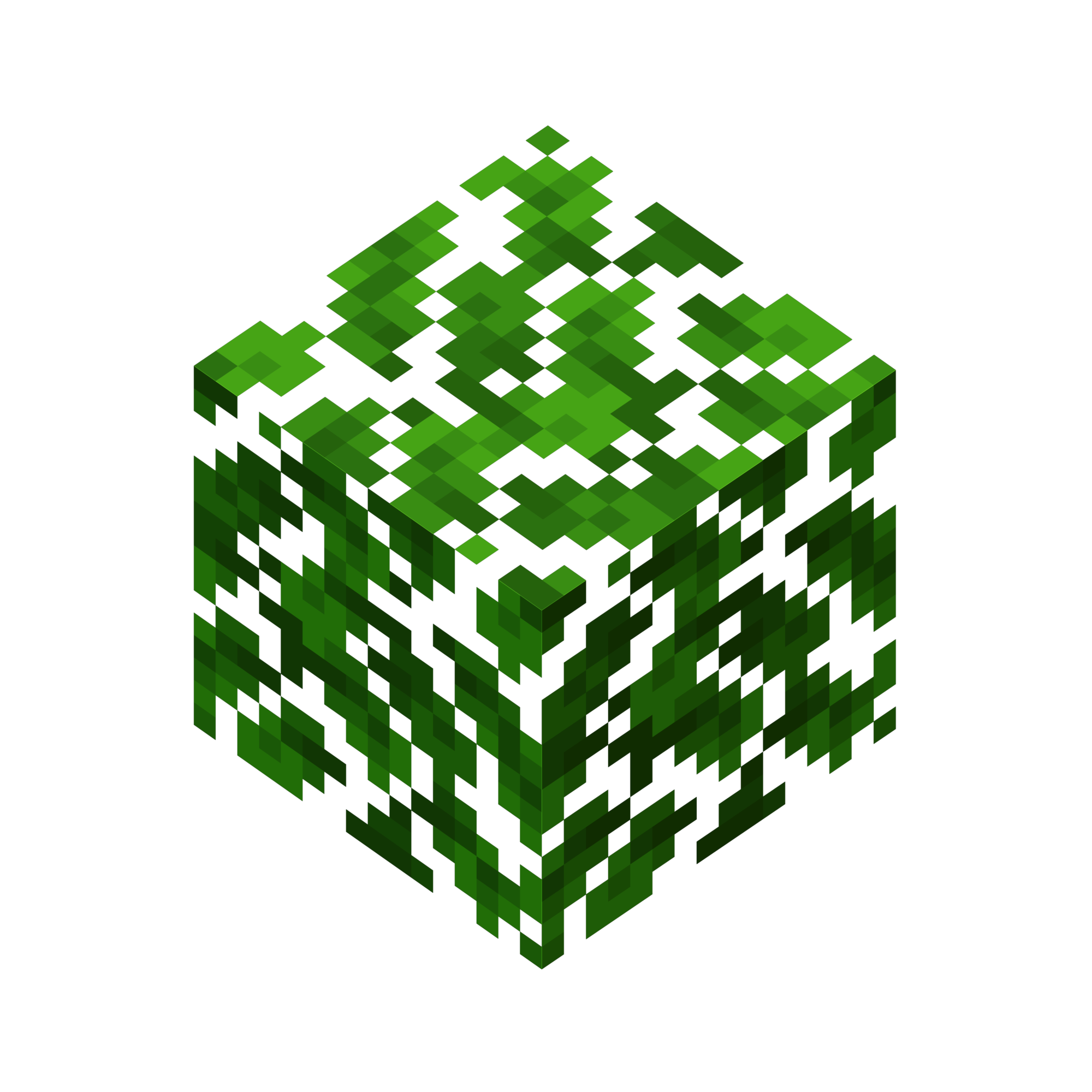 Oak