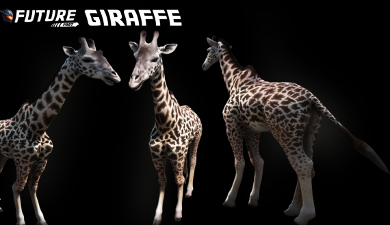 [ANIMAL] Giraffe