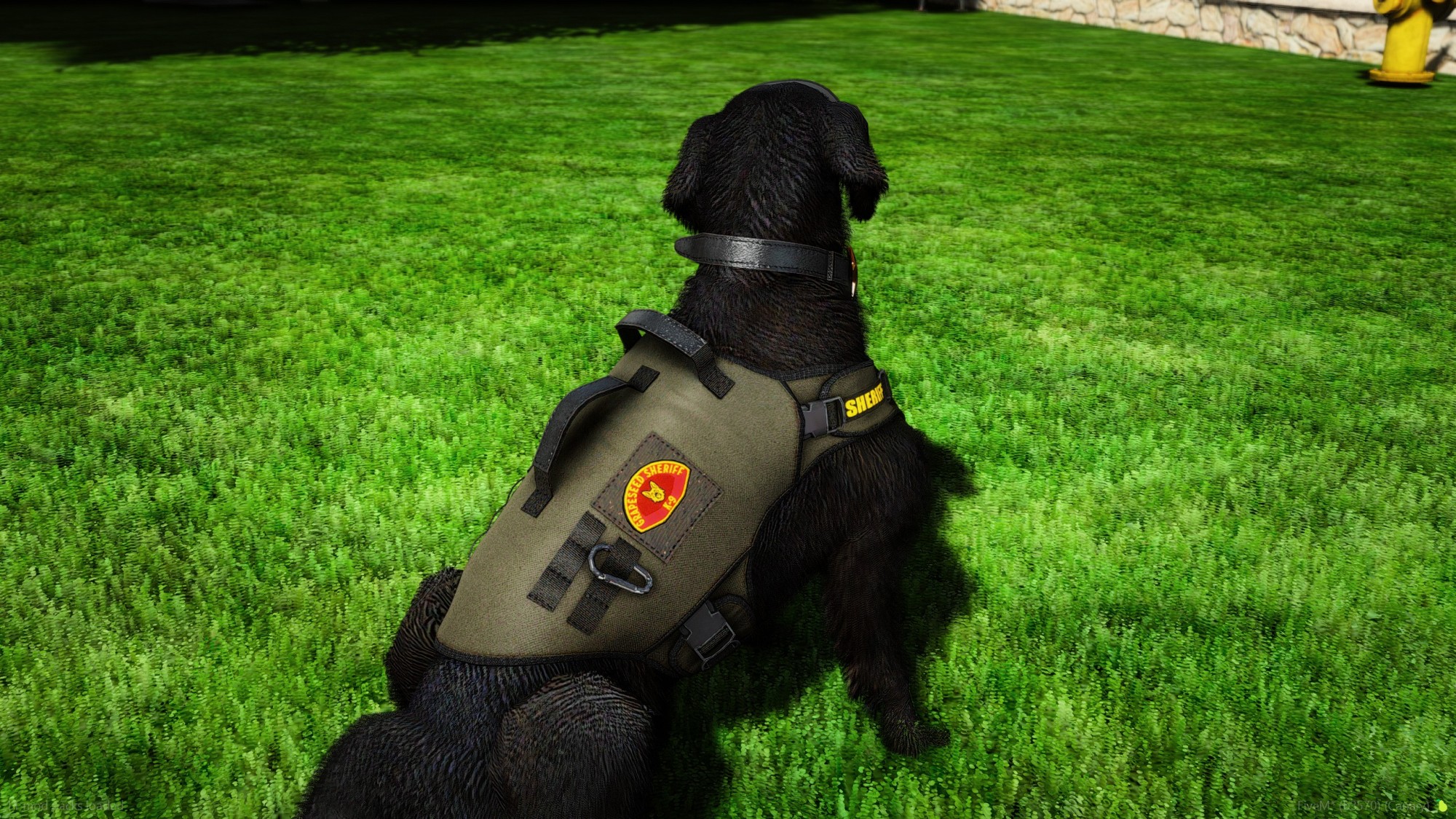 Golden Labrador Retriever Police K9