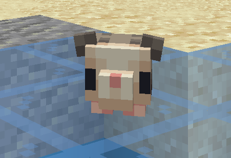 Pixel Opossum Pet